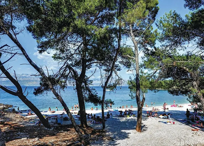 Cozy In With Wifi Apartment